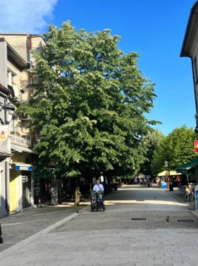 Izdavanje, jednosoban stan, 40m², Cetinje, Crna Gora