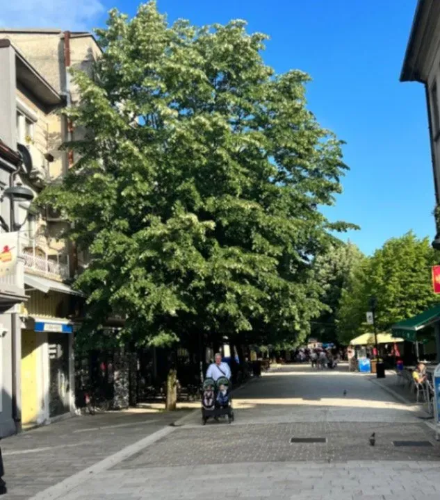 Izdavanje, jednosoban stan, 40m², Cetinje, Crna Gora