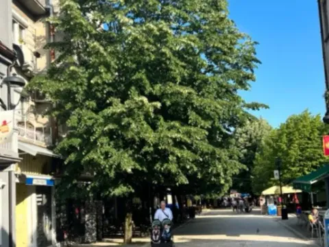 Izdavanje, jednosoban stan, 40m2, Cetinje
