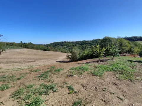 Sale, land lot, 700m², Sremska Kamenica, Petrovaradin - image 2