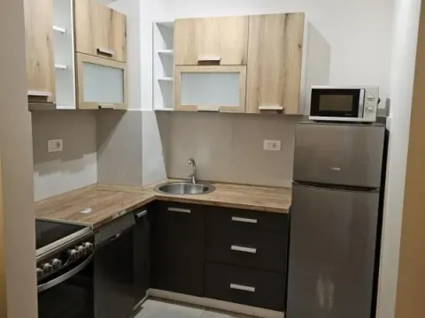 Rent, one bedroom apartment, 44m², Central Point, Podgorica - image 3