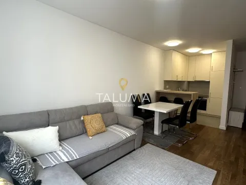 Rent, one bedroom apartment, 48m², Stari Aerodrom, Podgorica - image 1