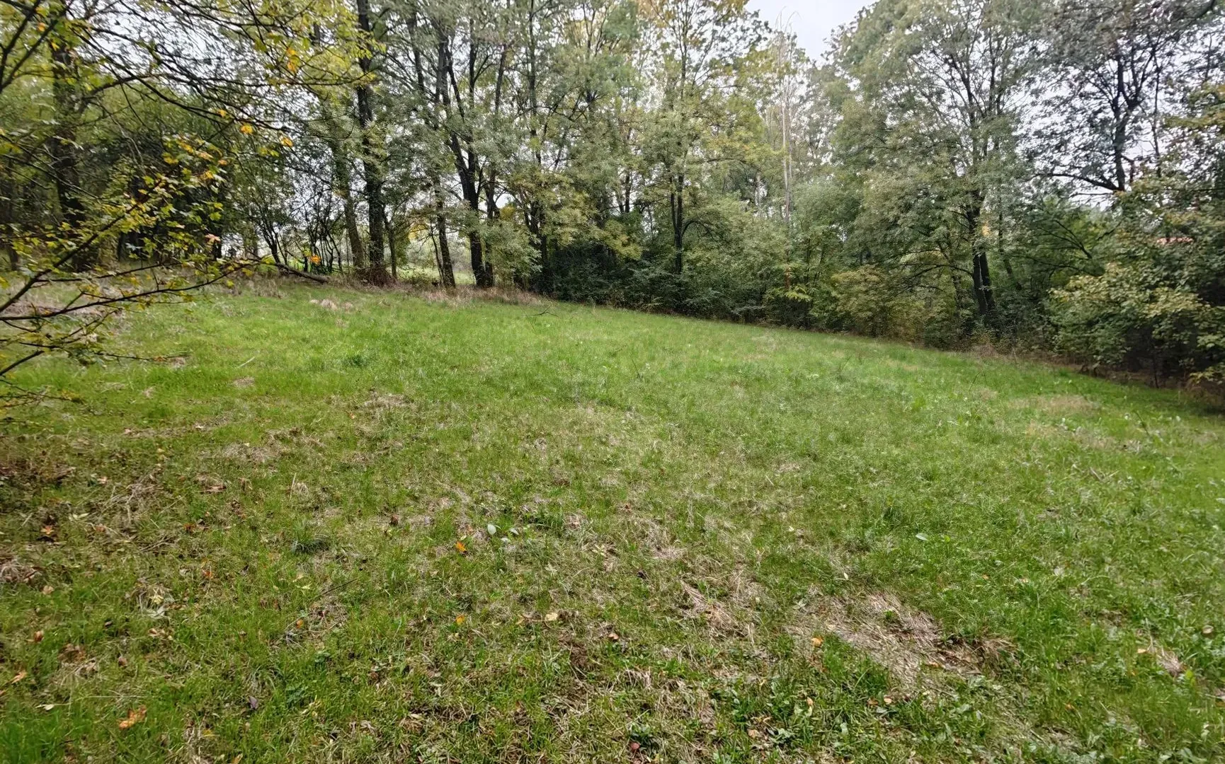 Sale, land lot, 33900m², Velika Ivanča, Mladenovac