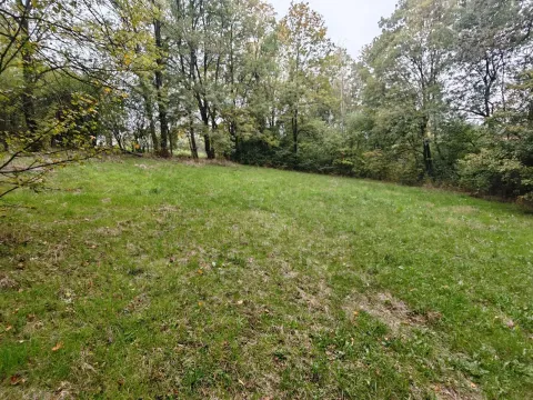 Prodaja, plac, 33900m², Velika Ivanča, Mladenovac - image 12