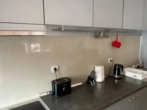 Izdavanje, jednosoban stan, 42m², Denkova Basta, Zvezdara Sve Podlokacije - image 10