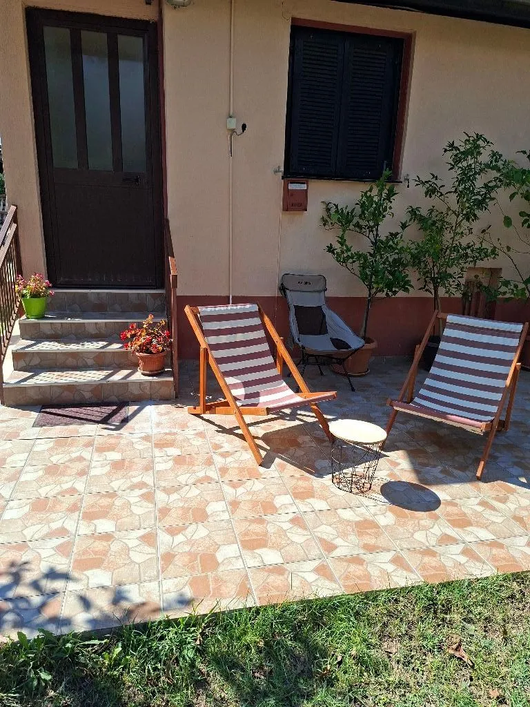 Paved yard in front of the house entrance with sun loungers and greenery.