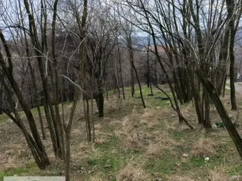 Prodaja, plac, 2156m², Obrenovac, Beograd - image 5