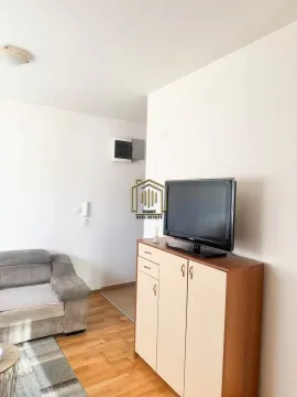 Rent, one bedroom apartment, 29m², Zabjelo, Podgorica - image 3
