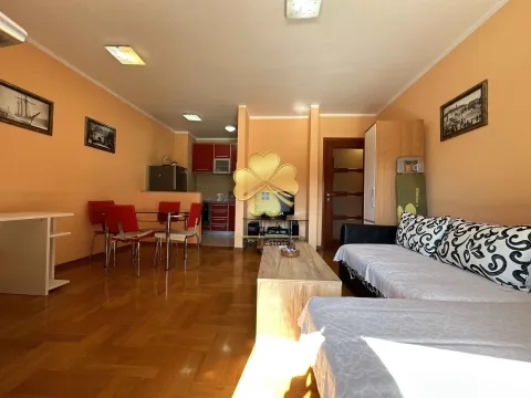 Izdavanje, jednosoban stan, 53m², Preko Morače, Podgorica - image 4