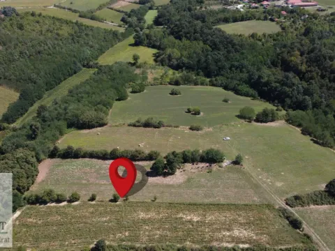 Sale, land lot, 5000m², Trlić, Ub - image 11