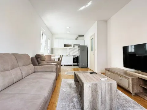Rent, one bedroom apartment, 47m², Stari Aerodrom, Podgorica - image 3