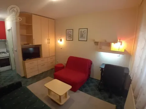 Izdavanje, garsonjera, 17m², Nova Detelinara, Novi Sad Sve Podlokacije - image 6