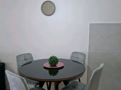 Rent, one bedroom apartment, 42m², Tuški Put, Podgorica - image 3