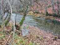 Prodaja, plac, 10000m², Kolašin, Crna Gora - image 9