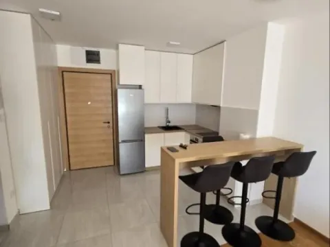 Rent, one bedroom apartment, 44m², Spens, Novi Sad Sve Podlokacije - image 6