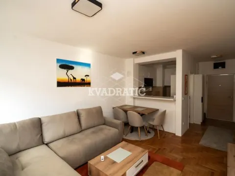 Izdavanje, dvosoban stan, 42m², Novi Beograd Blok 72, Novi Beograd Sve Podlokacije - image 2