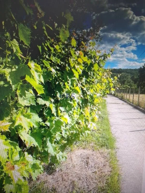 Prodaja, kuća, 150m², Danilovgrad, Crna Gora