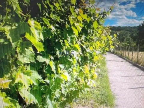 Prodaja, kuća, 150m², Danilovgrad, Crna Gora - image 5