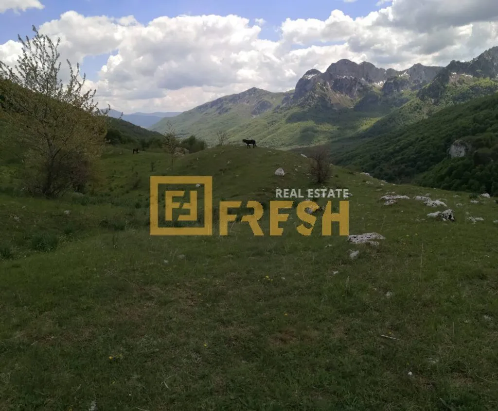 Prodaja, plac, 32000m², Kolašin, Crna Gora