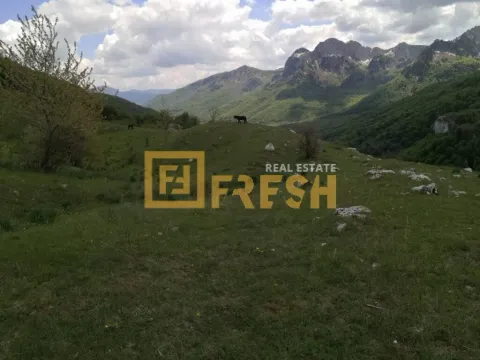 Prodaja, plac, 32000m², Kolašin, Crna Gora - image 5