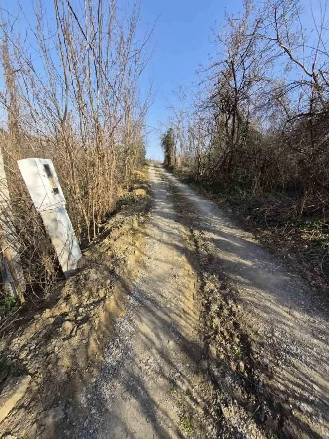 Prodaja, plac, 5000m², Sremska Kamenica, Petrovaradin