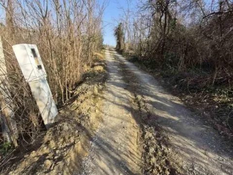 Prodaja, plac, 5000m², Sremska Kamenica, Petrovaradin - image 5