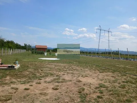 Prodaja, plac, 285100m², Medjureč, Jagodina - image 9