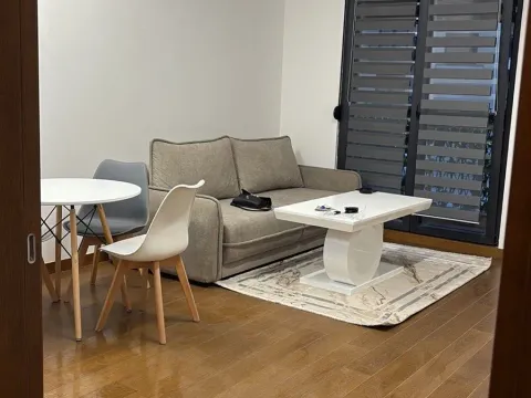 Izdavanje, jednosoban stan, 47m², Ljubović, Podgorica - image 3