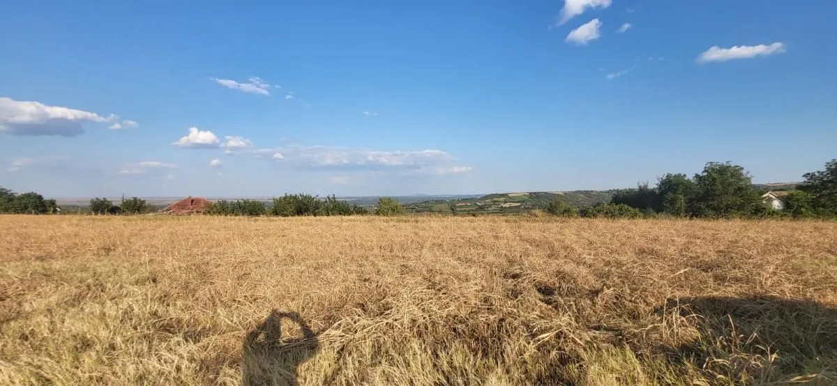Prodaja, plac, 1438m², Petrovaradin, Novi Sad