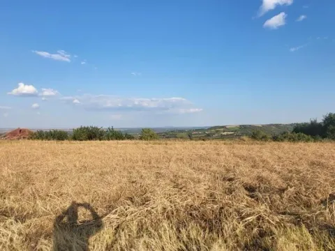 Prodaja, plac, 1438m², Petrovaradin, Novi Sad - image 4