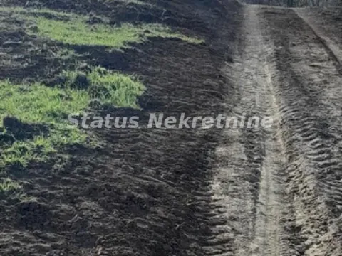 Sale, land lot, 1500m², Sremska Kamenica, Petrovaradin - image 12