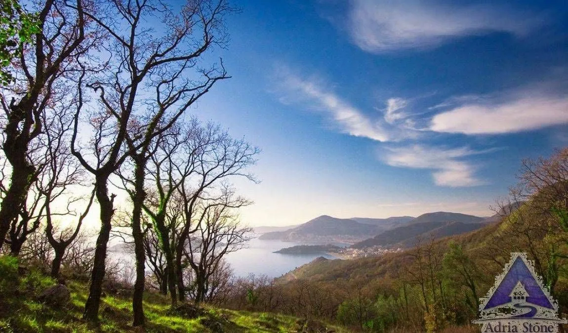 Prodaja, plac, 14551m², Tudorovići, Budva