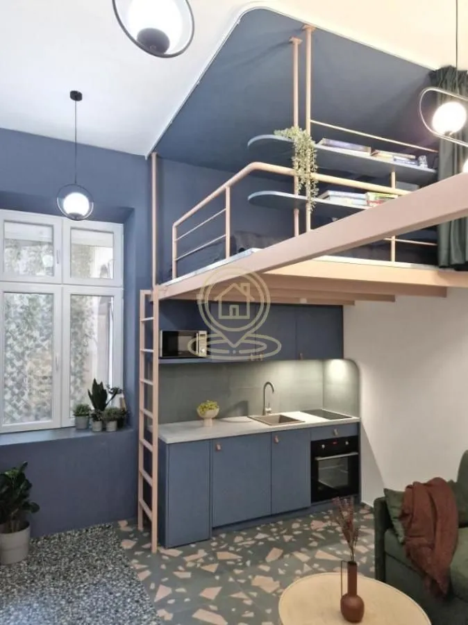 Rent, one bedroom apartment, 21m², Kalenić Pijaca, Vračar Sve Podlokacije