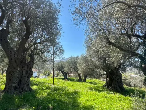 Prodaja, plac, 4000m², Zaljevo, Bar - image 3