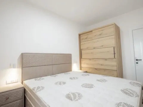 Izdavanje, jednosoban stan, 46m², Stari Aerodrom, Podgorica - image 4