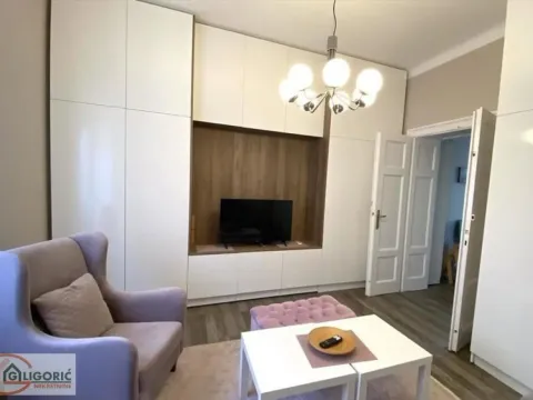 Rent, two bedroom apartment, 58m², Vračar Hram, Vračar Sve Podlokacije - image 4