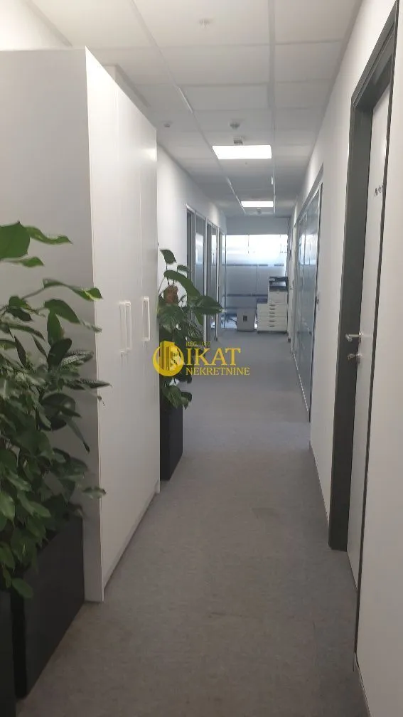 Rent, office space, 289m², Tašmajdan, Palilula Sve Podlokacije