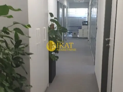 Izdavanje, poslovni prostor, 289m², Tašmajdan, Palilula Sve Podlokacije - image 14