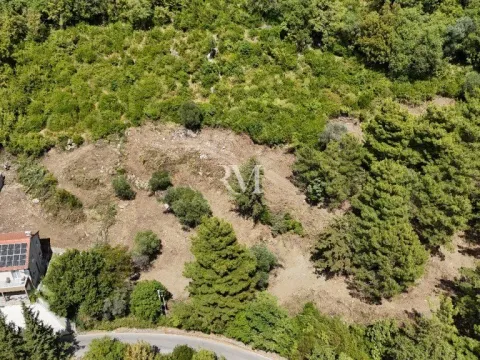 Prodaja, plac, 9100m², Kavač, Kotor - image 2