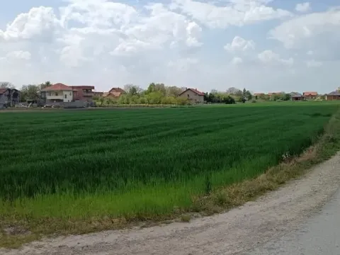 Zemljište in Palilula Sve Podlokacije