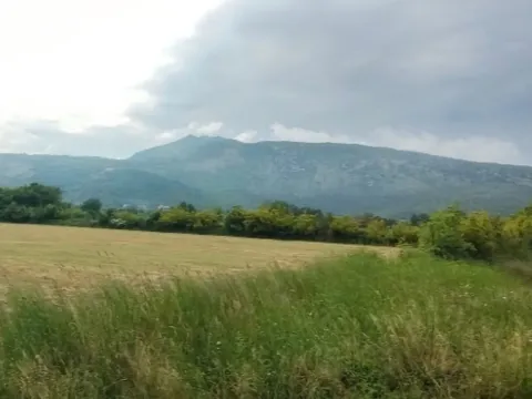 Zemljište in Beri