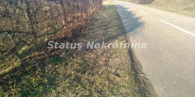 Prodaja, plac, 4000m², Sremski Karlovci, Novi Sad