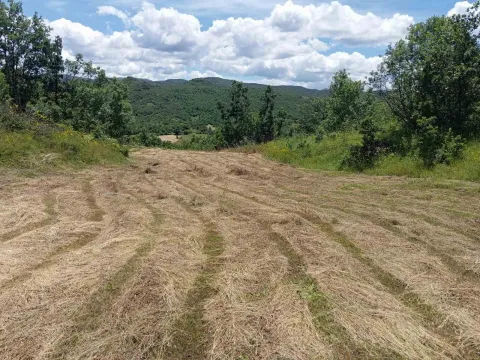Prodaja, plac, 77200m², Velimlje, Nikšić - image 3