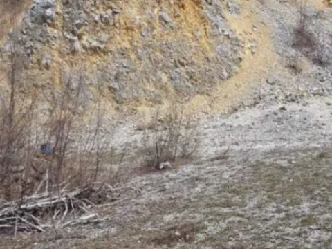 Sale, land lot, 6000m², Koštunići, Gornji Milanovac - image 6