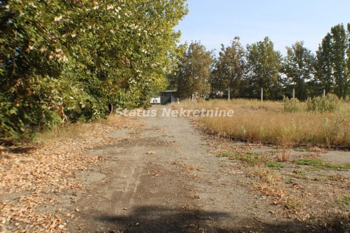 Rent, office space, 590m², Temerin, Novi Sad