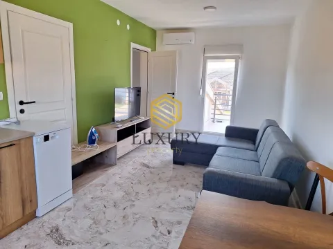 Izdavanje, kuća, 170m², Golubovci, Podgorica - image 1