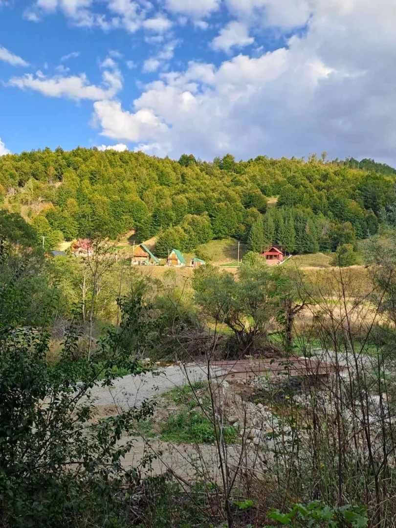 Pogled na vikendice u prirodi okružene šumom.