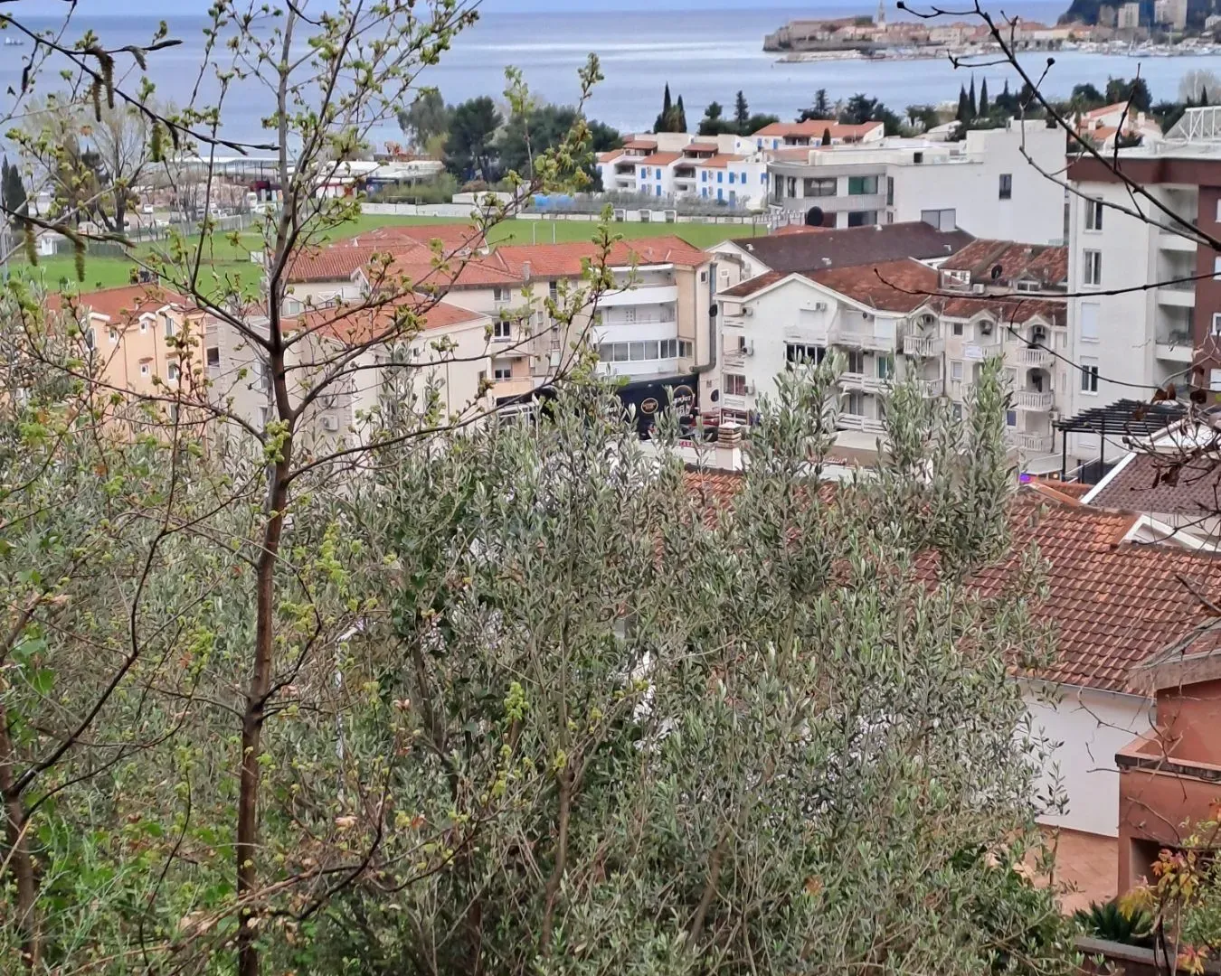 Prodaja, plac, 3004m², Podkošljun, Budva