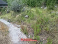 Sale, land lot, 241m², Kuljače, Budva - image 5