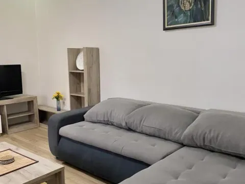 Izdavanje, jednosoban stan, 47m², Centar, Niš